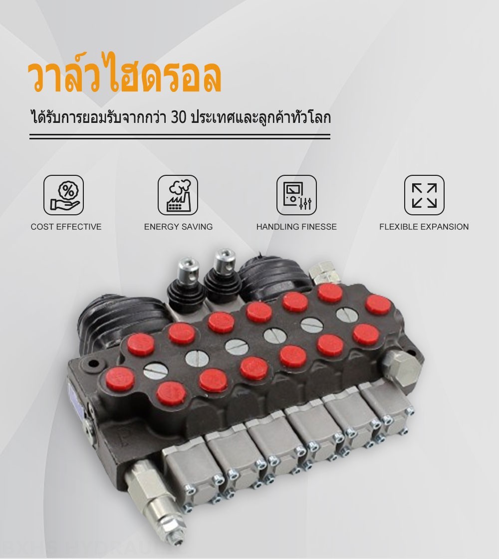 TR55 ด้วยตนเองและจอยสติก 6 สปูล วาล์วทิศทางโมโนบล็อก